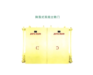 云南降落式双扇立转门