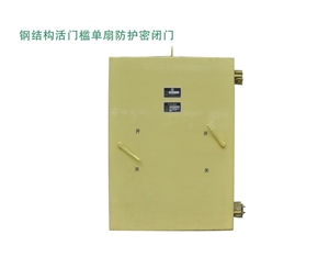 云南钢结构活门槛单扇防护密闭门